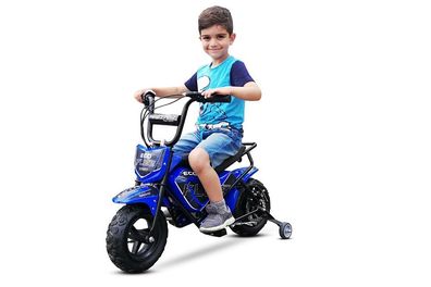 250W 24V Eco Flee Elektrobike Dirtbike Crossbike Kinder Geschenk