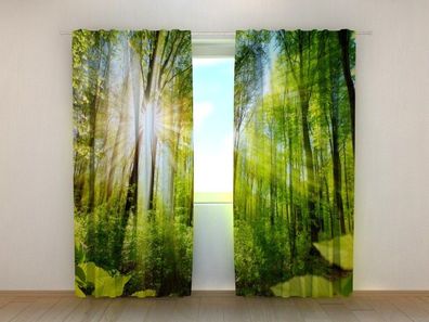 Fotogardinen "Warme Sonnenstrahlen im Wald" Vorhang mit 3D Fotodruck, Maßanfertigung