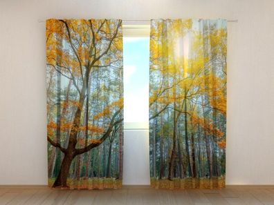 Fotogardinen "Sonne im Wald" Vorhang mit 3D Fotodruck, Maßanfertigung