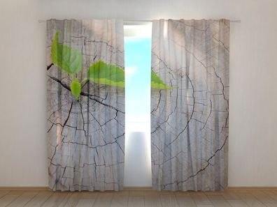 Fotogardinen "Baumstumpf" Vorhang mit 3D Fotodruck, Maßanfertigung