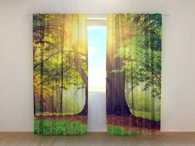 Fotogardinen "Grosser grüner Baum" Vorhang mit 3D Fotodruck, Maßanfertigung