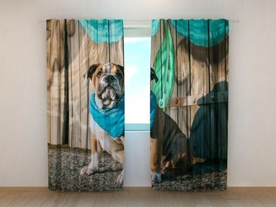 Fotogardinen "Englischer Bulldogenwelpe" Vorhang mit 3D Fotodruck, Maßanfertigung