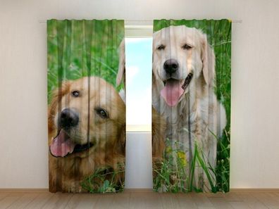 Fotogardinen "Labradorhunde auf der Wiese" Vorhang mit 3D Fotodruck, Maßanfertigung