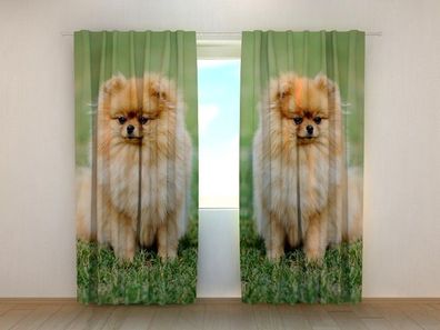 Fotogardinen "Braune pommersche Hunde" Vorhang mit 3D Fotodruck, Maßanfertigung
