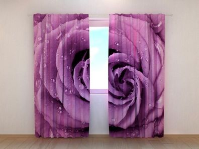 Fotogardinen "Rose in lila" Vorhang mit 3D Fotodruck, Maßanfertigung