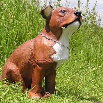 Pit Bull Terrier Hunde Figur Statue Fan Artikel lebensecht Dekoration Rasse Hund