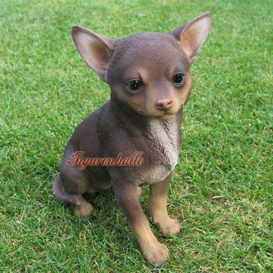 Chihuahua Hund Taschenhund Dekofigur Figur Statue lebensecht Deko Fan Artikel