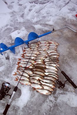 20 kg Top Fish 3000 Winterspezial Bremes Brassen Lockfutter Rotaugen 1,49€/ kg