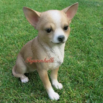 Chihuahua Hund Taschenhund Dekofigur Figur Statue lebensecht Deko Fan Artikel beige