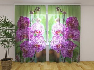 Gardinen aus Chiffon "Babylon Orchideen" Vorhang mit 3D Fotodruck, Maßanfertigung