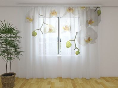 Gardinen aus Chiffon "Grosse weisse Orchideen" Vorhang mit 3D Fotodruck, auf Maß