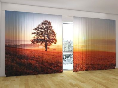 Fotogardinen "Baum bei Sonnenuntergang" Vorhang mit Fotodruck für breite Fenster
