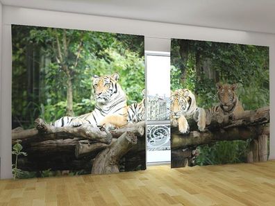 Fotogardinen "Junge Tiger" Vorhang mit 3D Fotodruck, Gardinen für breite Fenster