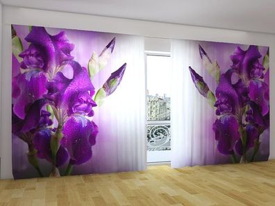 Fotogardinen "Iris in Farbe Lila" Vorhang mit Fotodruck, Gardinen für breite Fenster
