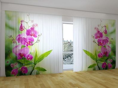 Fotogardinen "Farben des Sommers" Vorhang mit Fotodruck, Gardinen für breite Fenster