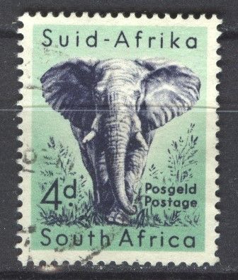 Südafrika Mi 244 gest Elefant mot2261
