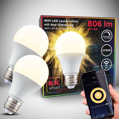 LED WiFi Leuchtmittel Smart Home Lampe dimmbar Birne E27 Alexa Google 9W 2er SET