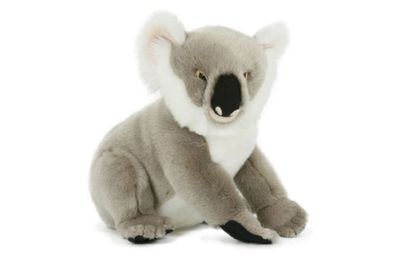 Plüschtier Koala 25cm Kuscheltiere Stofftiere Koalabär Eukalyptusbär Bären Beuteltier