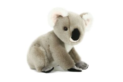 Plüschtier Koala 19cm Kuscheltiere Stofftiere Koalabär Eukalyptusbär Bären Beuteltier