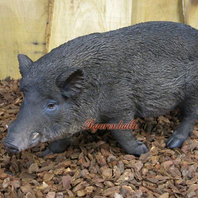 Wildschwein Frischling Eber Sau Figur Statue Skulptur Garten Wald Wild Schwein