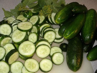 20 Samen Bauerngurke Salatgurke robuste Gurke mit hohem Ertrag