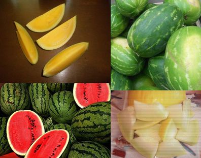 Wassermelonen- Mix - Super Süß und Aromatisch - 4 Super Sorten - 40 Samen