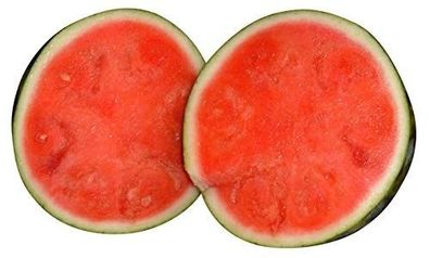 Wassermelone Crimson Sweet - 10 Samen (Sehr Süß)