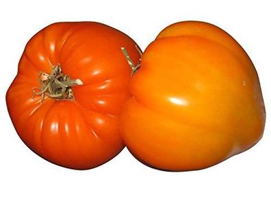 Tomate Ochsenherz - Sehr hoher Ertrag - Tomatensamen - Fleischtomate