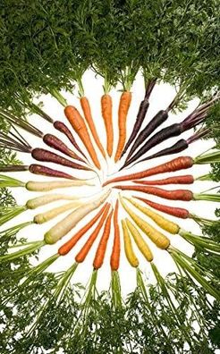 Karotten Regenbogen Möhren Mix 50 Samen -Gesunde Alte Sorten- Der Blickfang im Garten