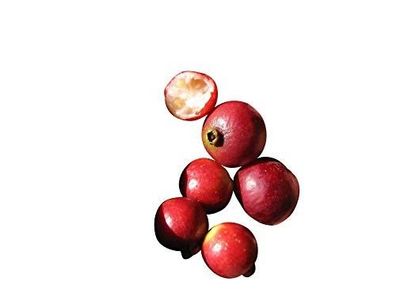 Guave Erdbeerguave -Psidium cattleianum- 10 Samen