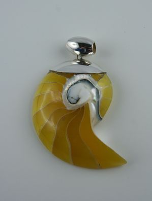 gelb eingefärbter Nautilus Muschel Anhänger Sterling Silber