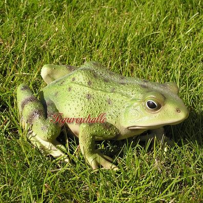 Frosch Kröte Laubfrosch lebensecht Figur Statue Skulptur Deko Gartenteich Tier grün