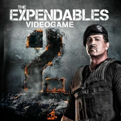The Expendables 2 Videogame (PC, 2012 Nur der Steam Key Download Code) Keine DVD