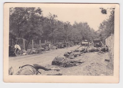 59559 Foto Wehrmacht Verwüstungen am Strassenrand Frankreich 2. Weltkrieg