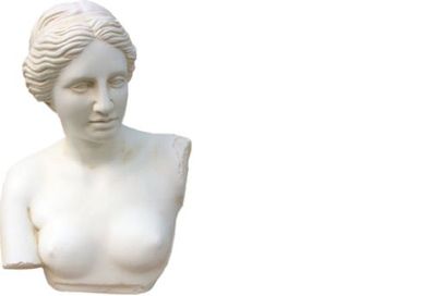 Design Venus Büste Figur Statue Skulptur Skulpturen Figuren Dekoration 2055 Neu