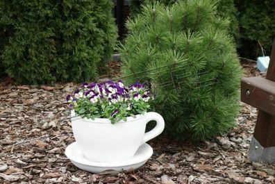 Blumenkübel Pflanz Kübel Dekoration Figur Blumentöpfe Garten Vasen Kaffee Tasse