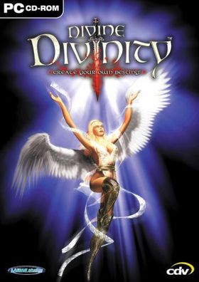 Divine Divinity (PC, 2003, Nur der Steam Key Download Code) Keine DVD, No CD