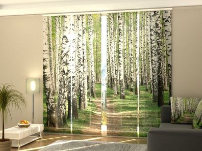 Schiebegardine "Pfad im Birkenwald" Flächenvorhang Gardine Vorhang mit Fotodruck