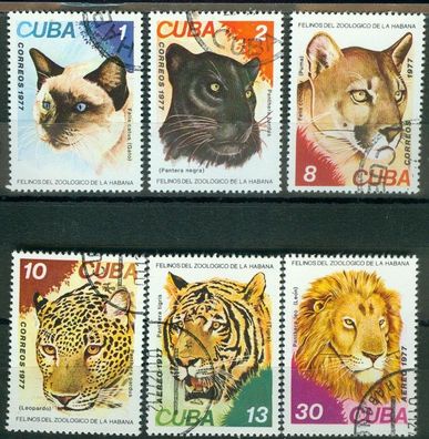 Kuba Mi 2257 - 2262 gest. Katzen im Zoo Havanna mot2609