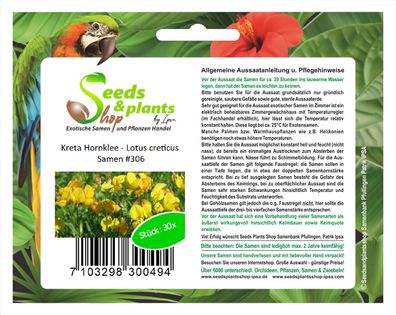30x Kreta Hornklee Lotus creticus Samen Klee Blume Pflanze #306