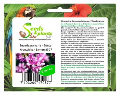 40x Securigera varia Bunte Kronwicke Samen Hybrid Garten Pflanze #307