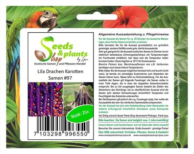 25x Lila Drachen Karotten Samen Gemüse essbar Garten Möhren #97