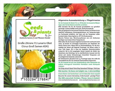 5x Große Zitrone F1 Lunario Obst Samen Citrus Groß Garten Baum #241