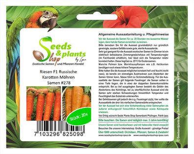 20x Riesen F1 Russische Karotten Möhren Samen Gemüse Garten #278