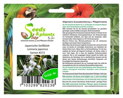4x Japanische Geißblatt Lonicera japonica Samen Strauch Pflanze #272