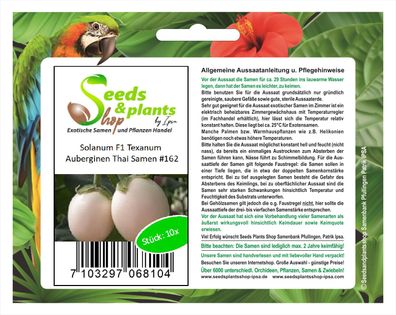 10x Solanum F1 Texanum Auberginen Thai Saatgut Pflanze Gemüse Garten #162
