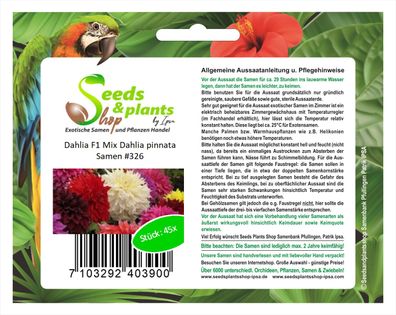 45x Dahlia F1 Mix Dahlia pinnata Samen Blumen Garten Pflanze #326