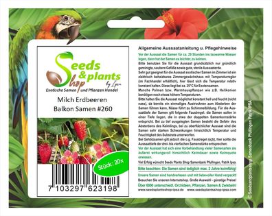 20x Milch Erdbeeren Samen Balkon Garten Pflanze essbar Obst #260