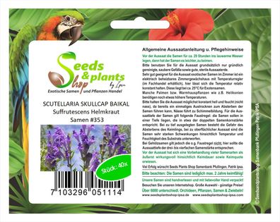 40x Scutellaria Skullcap BAIKAL Suffrutescens Helmkraut Samen #353