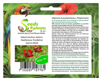 10x Adonisröschen Adonis Kooltjevuur Dunkelrot Samen Garten Pflanze #333
